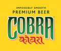 Cobra beer